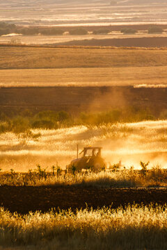 Tractor tilling the land at sunset in the plains of Alhambra