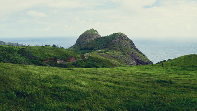 Lush green coastal hills overlooking the ocean