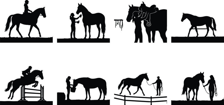 Vector silhouette collection of equestrian activities including horse riding, training, jumping, grooming, and feeding