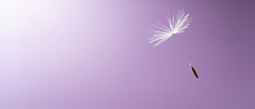 Single dandelion seed floating in the air against a smooth, soft purple gradient background.