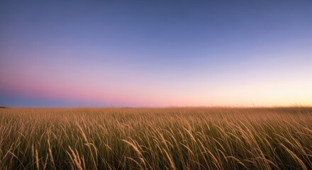 Obraz premium Golden wheat field under a pink and purple sunset sky