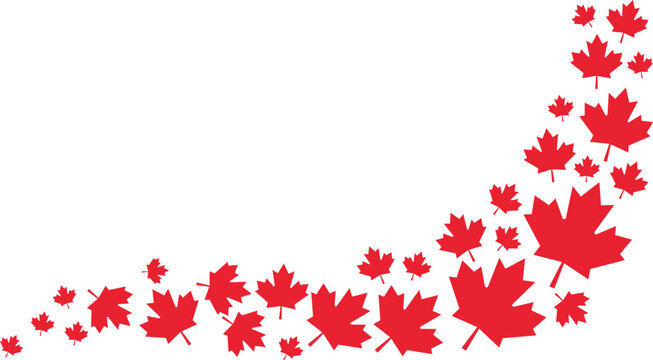 Red maple leaves border design on canadian autumn fall leaf wave vector graphic illustration
