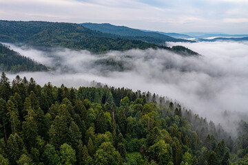 Beskid Sądecki, Muszyna, Malnik, poranne mgły, lato © Maciej G. Szling