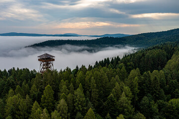 Beskid Sądecki, Muszyna, Malnik, poranne mgły, lato © Maciej G. Szling