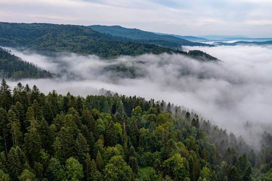 Beskid Sądecki, Muszyna, Malnik, poranne mgły, lato