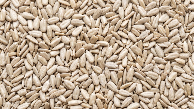 Pile of raw peeled sunflower seeds texture background