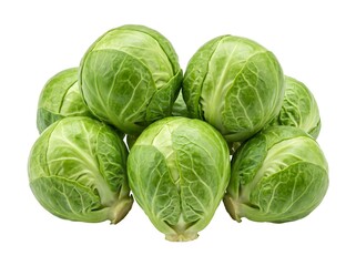 Fototapeta premium Fresh Brussels Sprouts Isolated on White