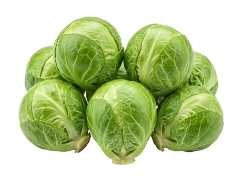 Fresh Brussels Sprouts Isolated on White