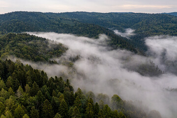 Beskid Sądecki, Muszyna, Malnik, poranne mgły, lato © Maciej G. Szling