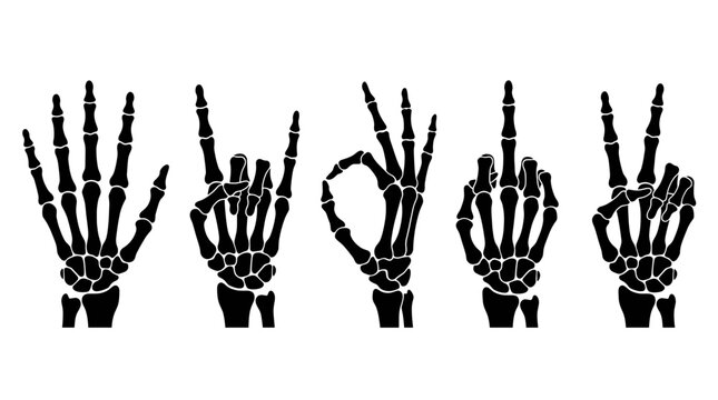 Skeletal hands making different gestures on white background.
