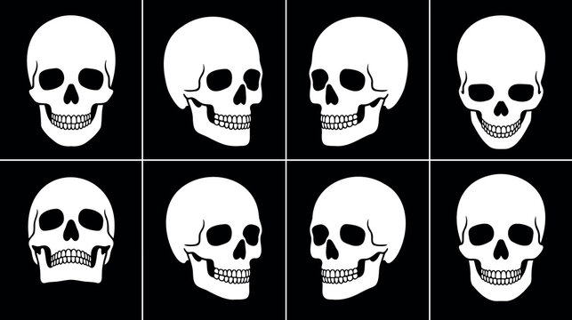 Eight white skull illustrations on black background various angles