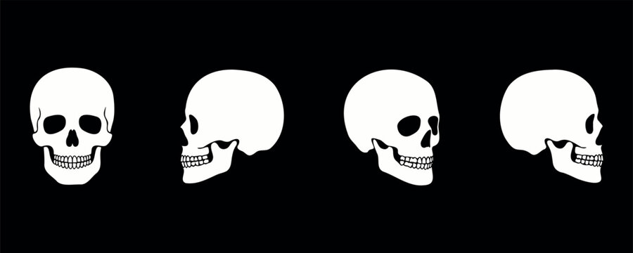 Four views of a human skull on black background