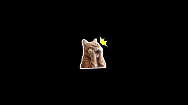 Three surprised ginger tabby cats expressing shock with paws on cheeks against black background with displays horizontal arrangement video displays astonishment expression amazement character with pet