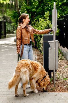 Young Girl In Park With Golden Retriever Taking Bags To Clean Up After The Dog