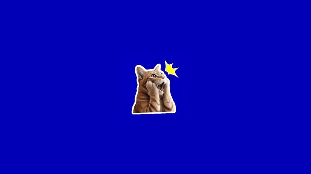 Three ginger tabby cat stickers expressing shocked surprise against solid vivid blue background banner format with stickers positioned horizontally displays three separate video displays expression