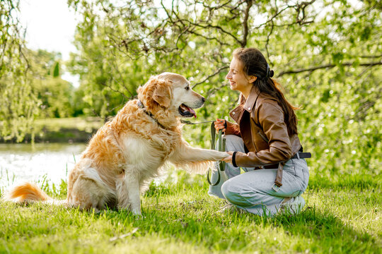 Girl Petting Golden Retriever Dog While Sitting On Grass By Lake