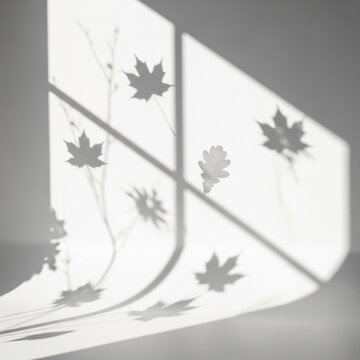 Whispers of Autumn: Sunlight's Embrace on Gentle Forms