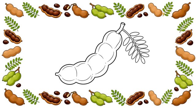 Cute tamarind coloring page with a large black and white tamarind pod in the center, surrounded by a colorful seamless border of ripe and unripe tamarind, seeds, and leaves on a white background.