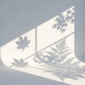 Whispers of Sunlight, Dreams in Shadow