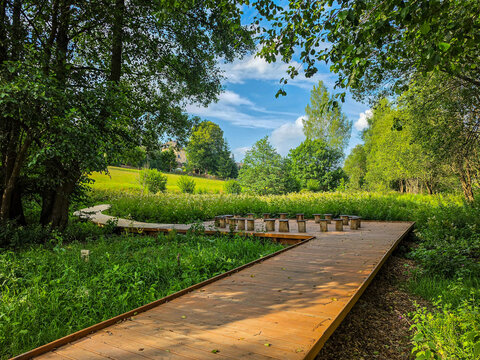 spring in the park, outdoor classroom during summer