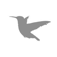 Fototapeta premium silhouette of a hummingbird in flight flapping its wings