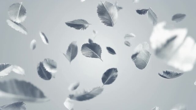 Ultra realistic silver leaf fragments float through cool white light with crisp mirror reflections, creating a premium luxury metallic background featuring elegant cinematic copy space and depth.