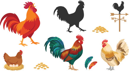 Farm poultry birds rooster chicken and weather vane vector element set © ARIFUL