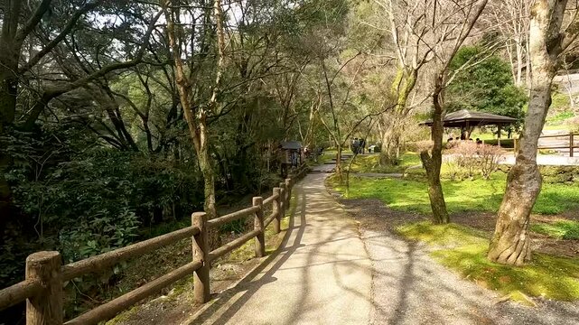Landscape Takachiho Gorge is River canyon with waterfalls over sheer basalt cliffs viewable from rented boats and a paved path in Takachiho Miyazaki Kyushu Japan - Footage Clip Travel Nature