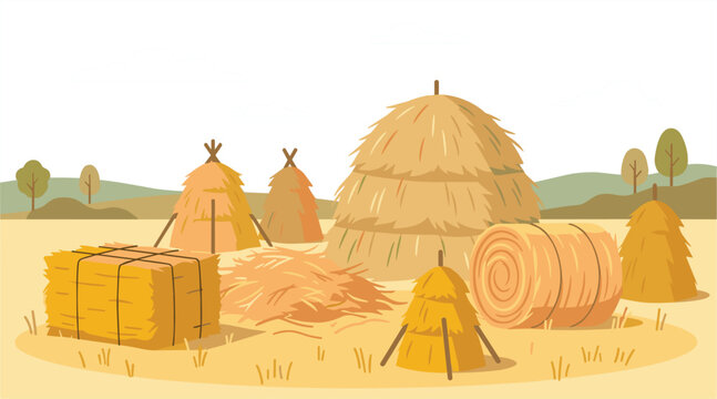 Rural farm autumn landscape with hay bales haystacks and straw on a harvested agricultural field vector illustration isolated on white background