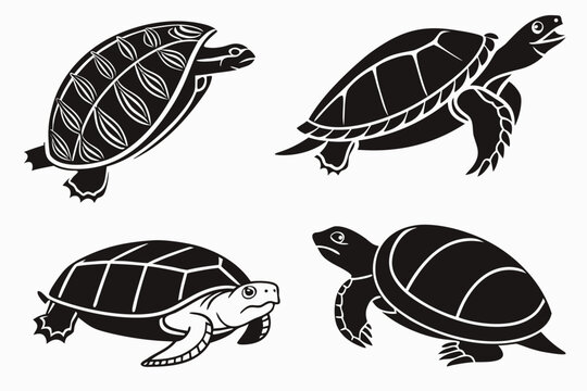 Four cartoon turtles walking in different directions