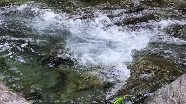 東京都檜原村 南秋川の清流　水たまり