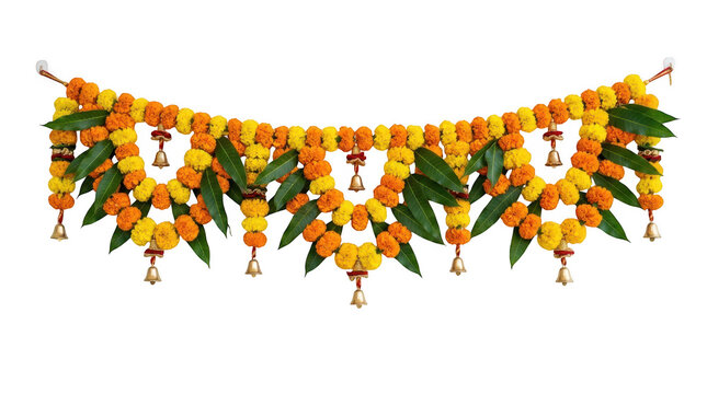 Traditional indian marigold flower garland with mango leaves and brass bells isolated on transparent background