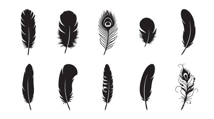 Black feather silhouettes collection, set of 10 bird feather vector icons, decorative peacock and quill plumage elements for logo design and branding © Sabir