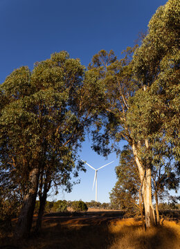 Wind turbine framed by countryside trees