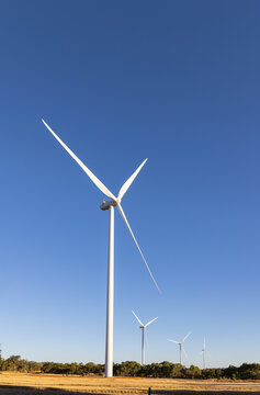 Wind turbines aligned across grassy plain