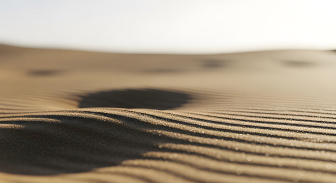 Abstract Sand Patterns Glistening in Desert Golden Hour Light