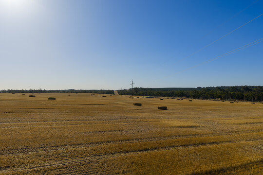 Hay bales across harvested paddock under clear sky