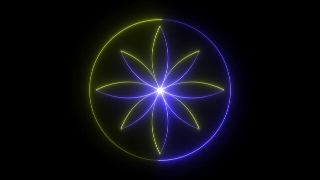 Dual tone glowing neon geometric flower mandala animation abstract light petal