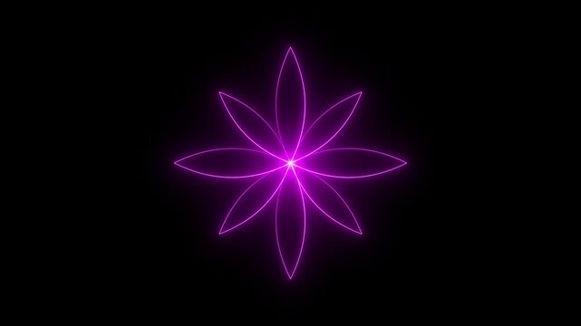 Pink neon glowing geometric flower mandala abstract light petal symmetrical