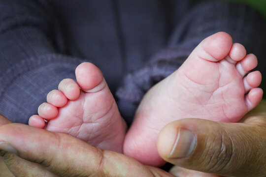 Hand holding newborn baby&rsquo;s feet, ten tiny toes visible.