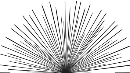 A striking abstract black and white image featuring numerous thin lines radiating outwards from a central point, creating a dynamic fan-like or sunburst pattern. © Sofia
