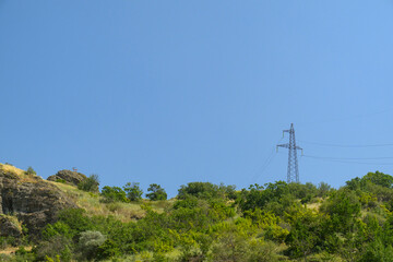 Obraz premium Utility pole rises above forested hill against clear blue sky