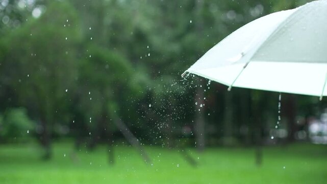 Cose up of umbrella with raining in rainy day