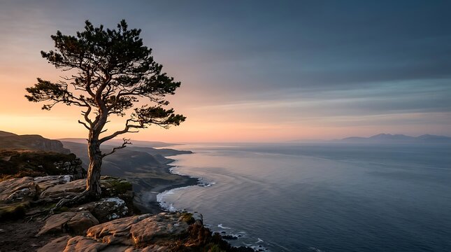 Majestic pine tree on a rocky cliff above the sea at dusk