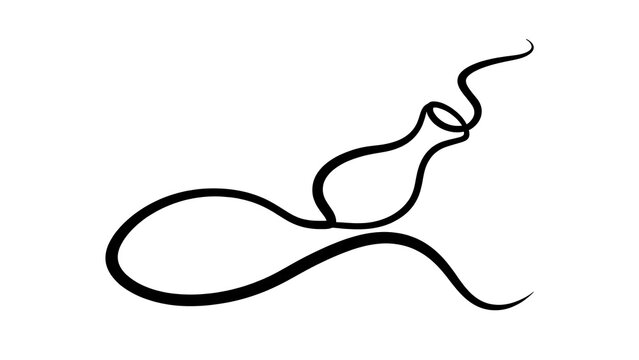 Elegant black line art sperm cell white background.
