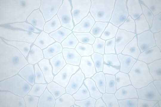 Abstract cellular structure with nuclei