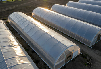 Fototapeta premium Aerial view of multiple agricultural greenhouses at sunset, modern farming and sustainable food production concept, the structures are designed for controlled cultivation