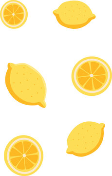 Lemons vector illustration, set of lemon slices