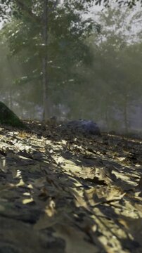 Golden sunlight streams through tall trees, casting soft shadows on a carpet of dried leaves. The peaceful forest feels alive with natures whispers and rustling branches.
