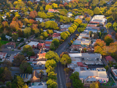 Aerial view over houses and shops in a regional town full of colourful Autumn trees